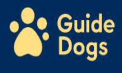 Guide Dogs services for children, young people and families